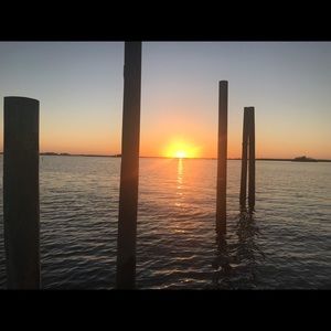 Meet your Posher, Patty